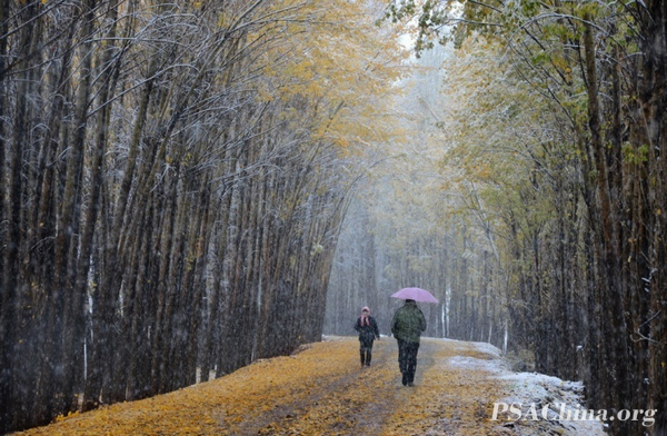 03.¾ƷѩFIRST SNOW.jpg