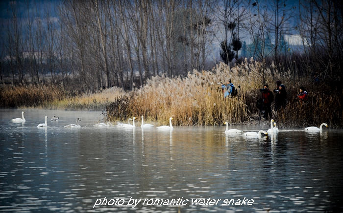 DSC_7053.jpg
