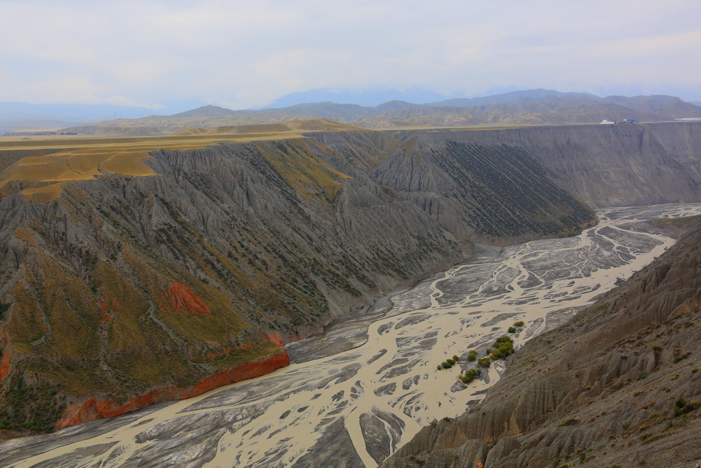 050C3254-tx.jpg