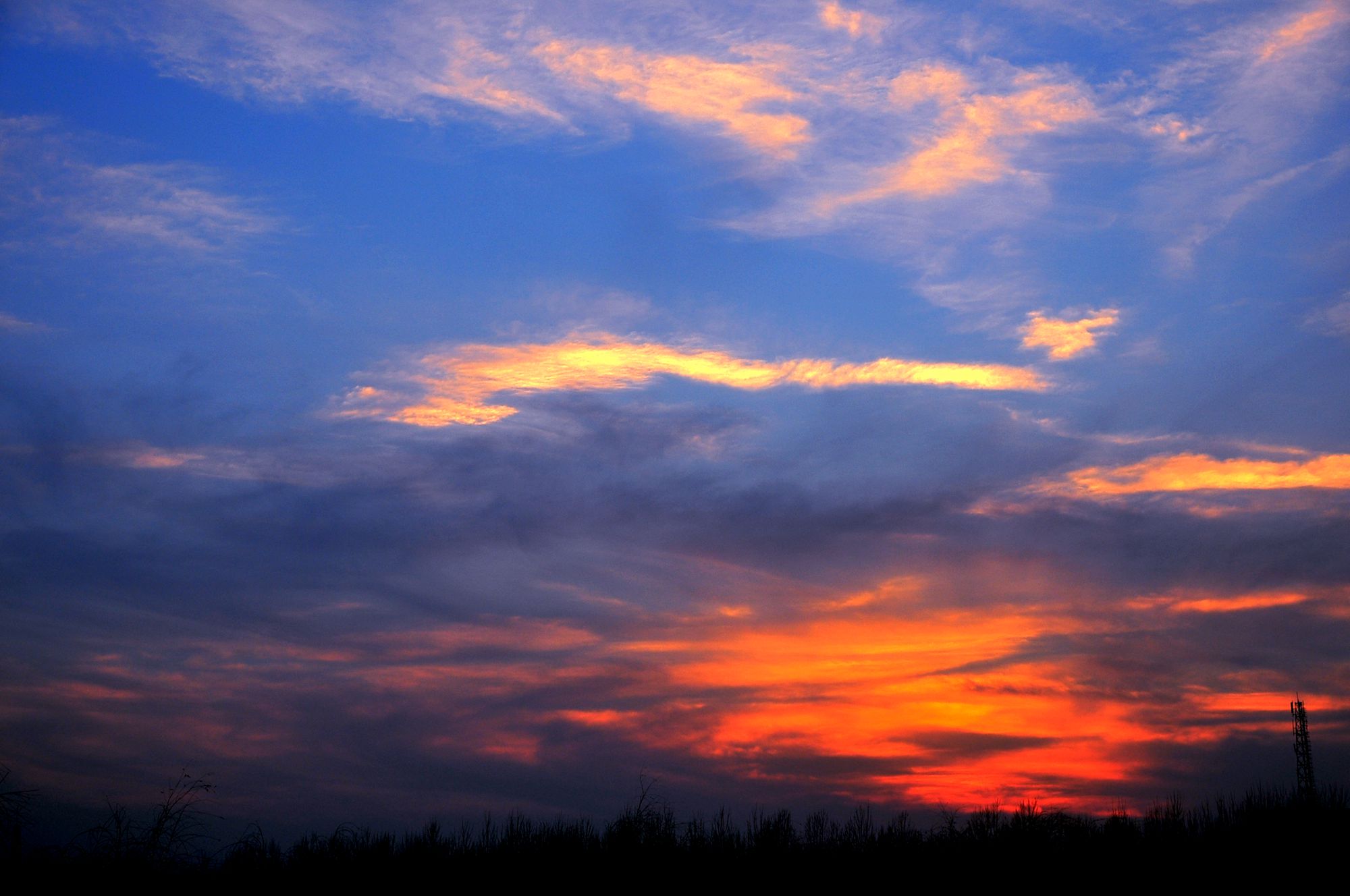 _DSC8301_.tiff.jpg