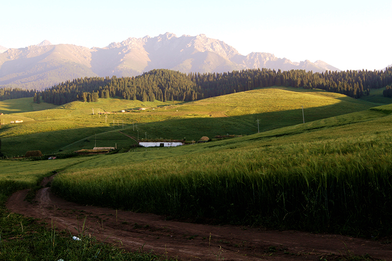 IMG_8361-1_-С.jpg