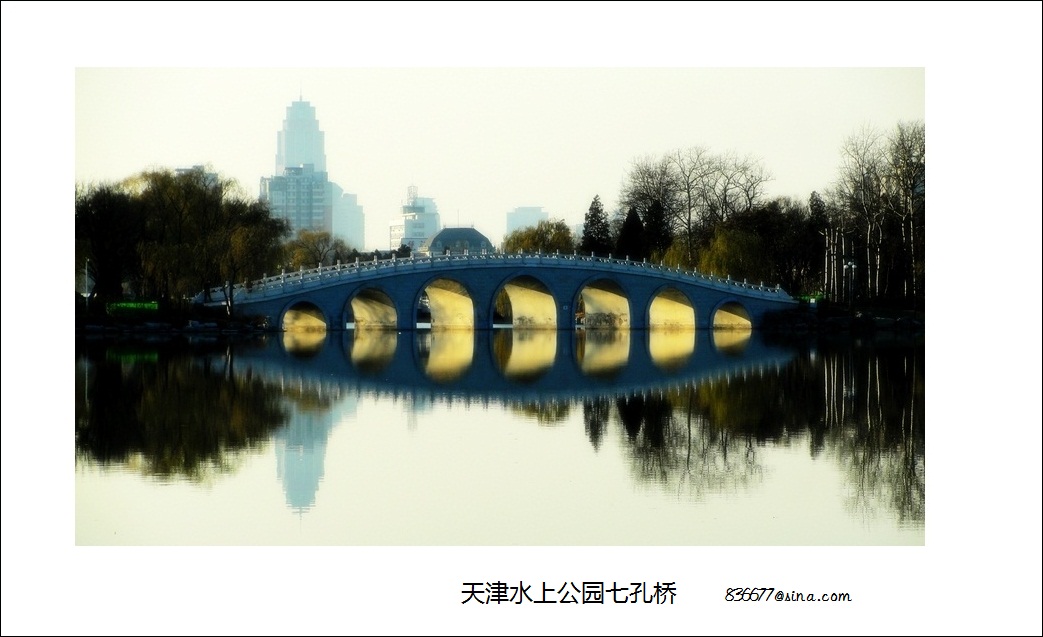 DSCb02670.jpg