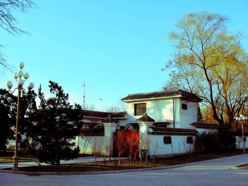 DSC02812.jpg