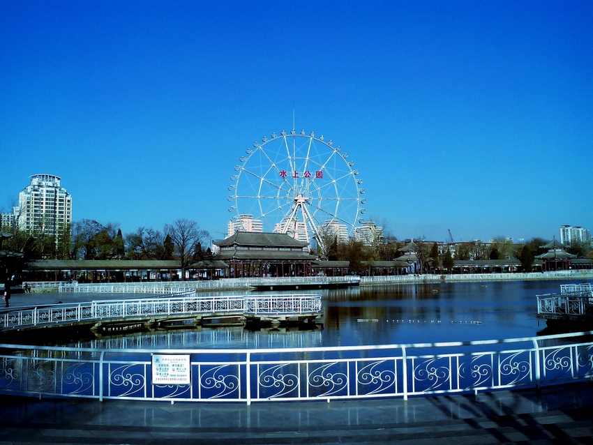 IMG_20131205_145517.jpg