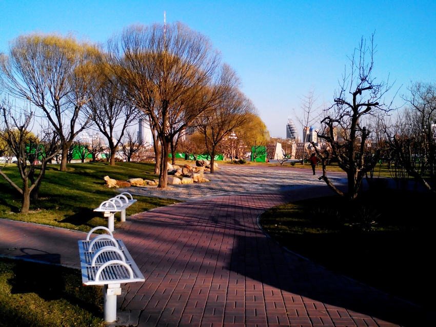 IMG_20131205_150647.jpg