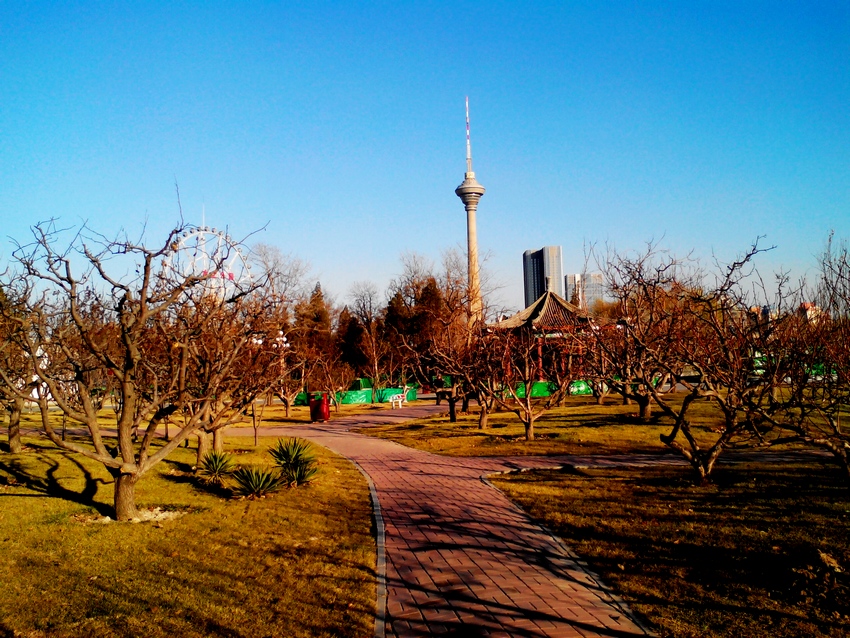 IMG_20131205_151004.jpg