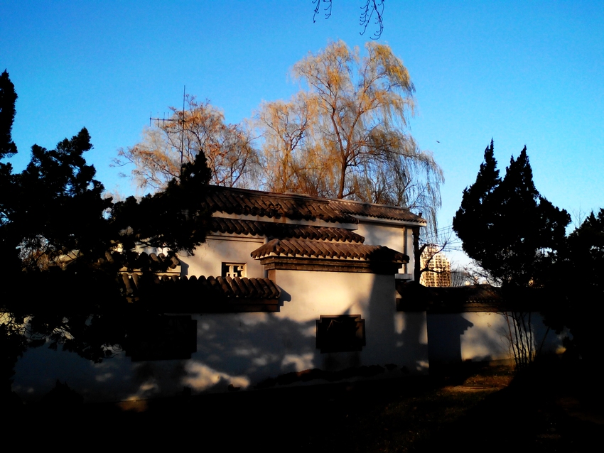 IMG_20131205_154510.jpg