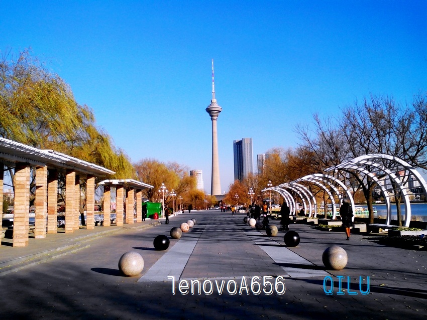 IMG_20131205-2_145806.jpg