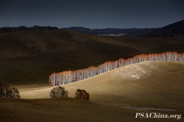 03.ѧƷɽ¡HILLSIDE.jpg