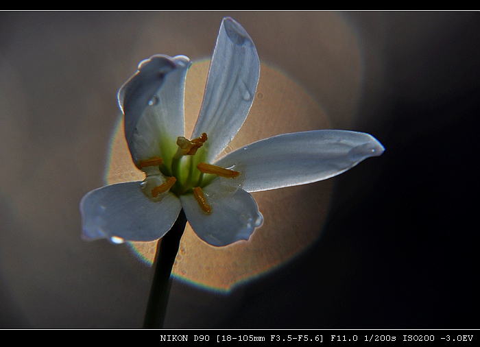 DSC_0099.JPG