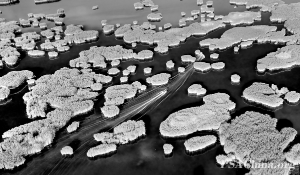 14.־Ʒ˼ϡAcacia Lake.jpg
