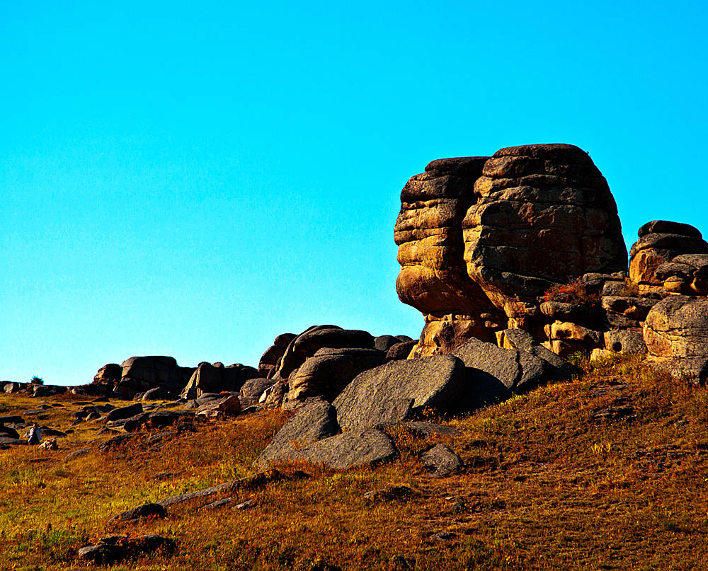 _MG_4500.jpg