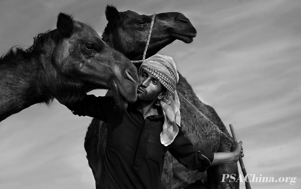 12.ФƷ˺աMen and camels.jpg