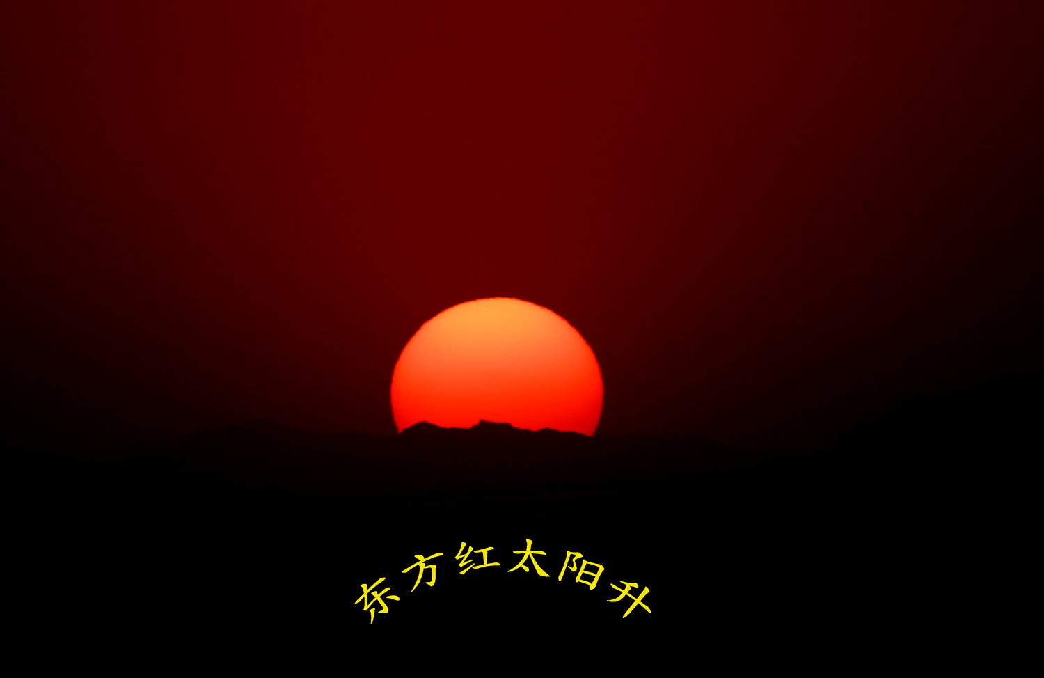 H46R4735.jpg