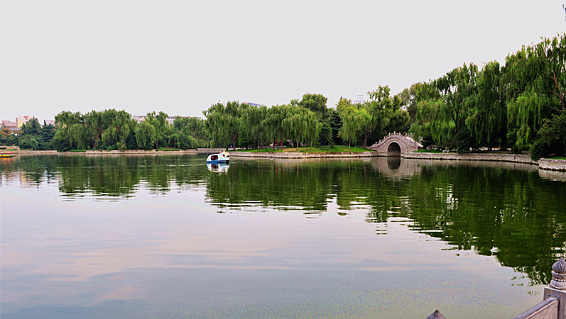 DSC_5228_.jpg