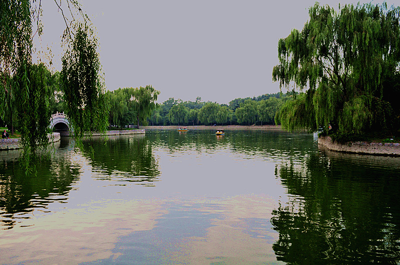 DSC_5241_.jpg
