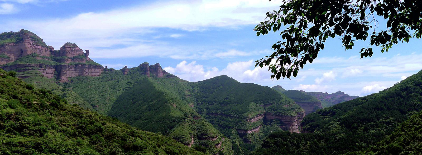 L1030408.JPG