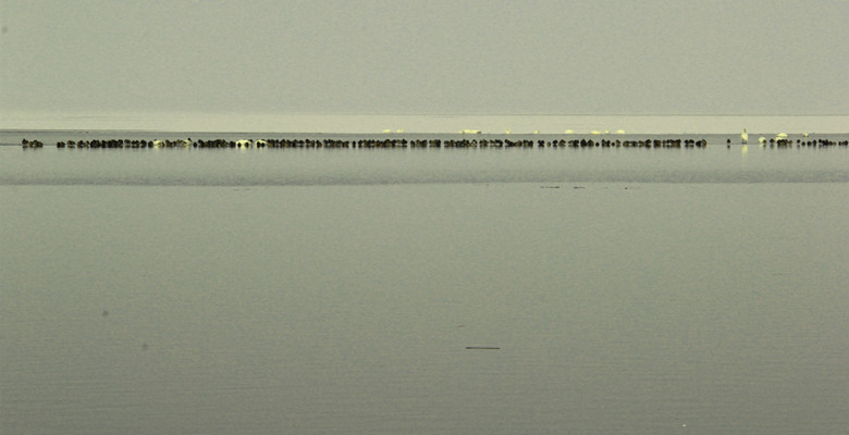 ˮL-2