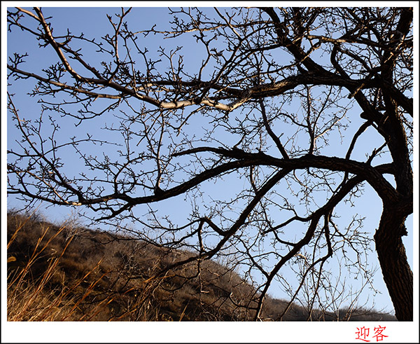 2013127ո1048.jpg