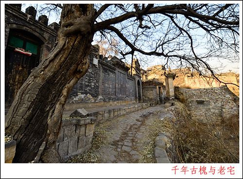 2013127ո 1046.jpg