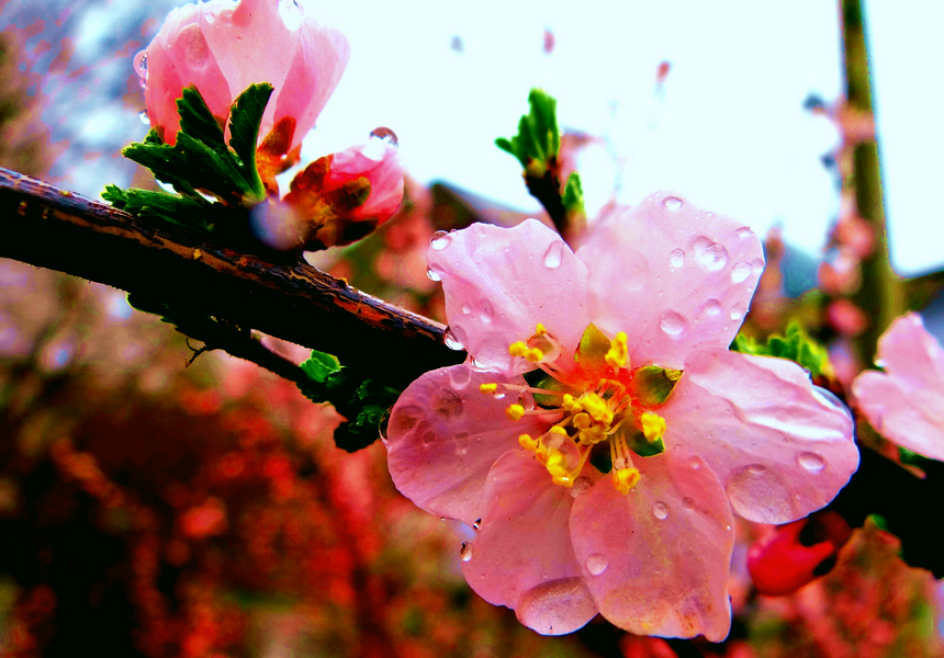 2013 04 03 