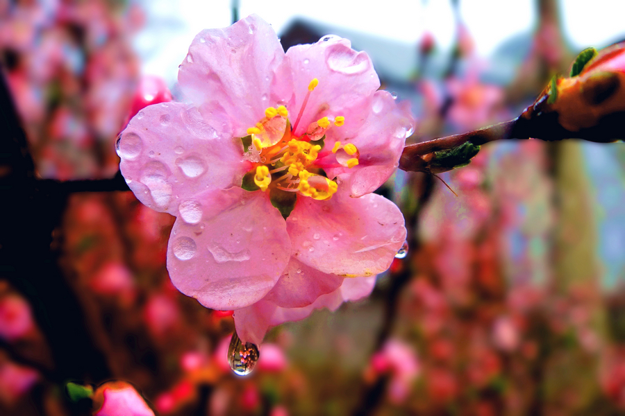 2013 04 03