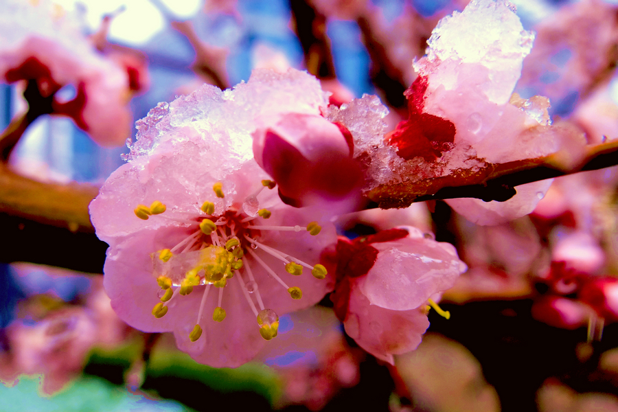 2013 04 03 
