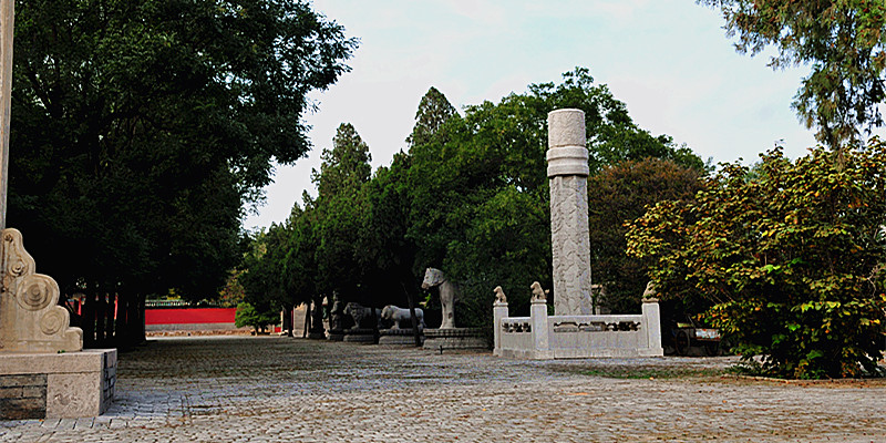 DSC_5152_.jpg