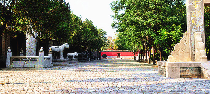 DSC_5153__.jpg