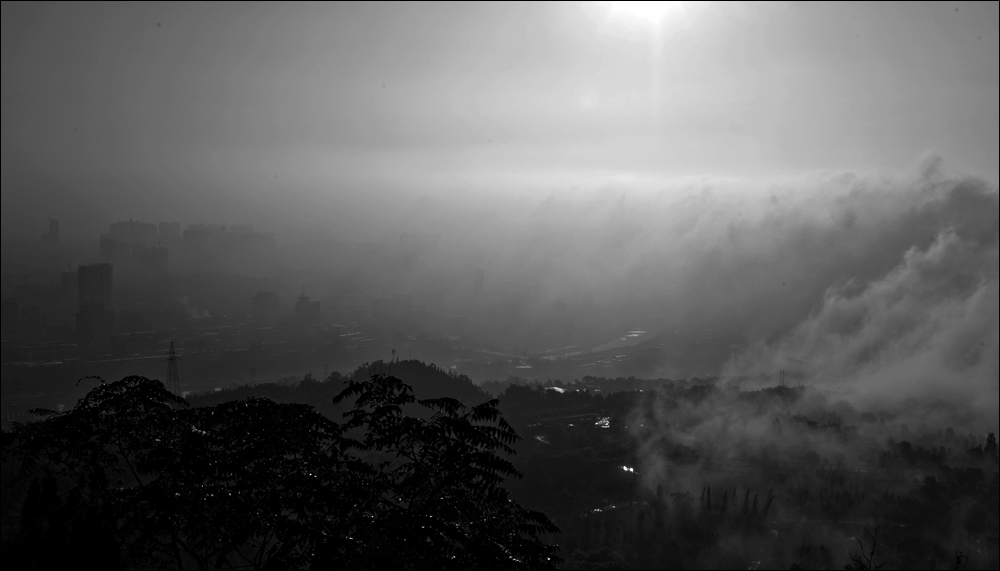 DSC_7087.jpg