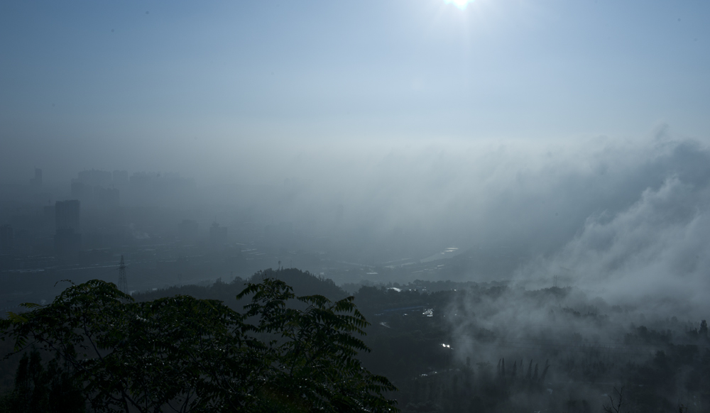 DSC_7087.jpg