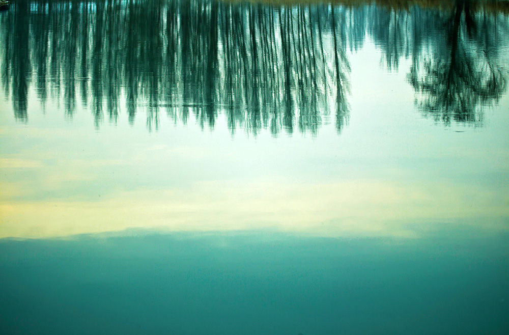 _N8E1057.JPG