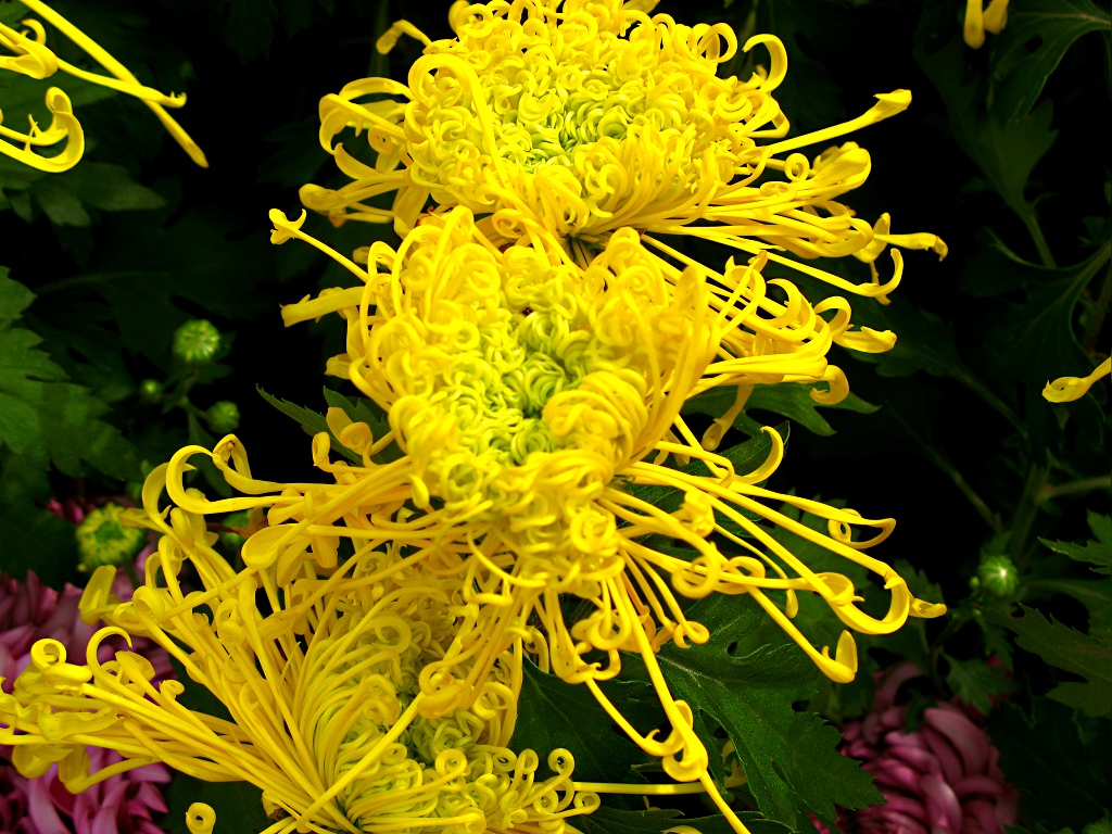 IMG_1555.jpg
