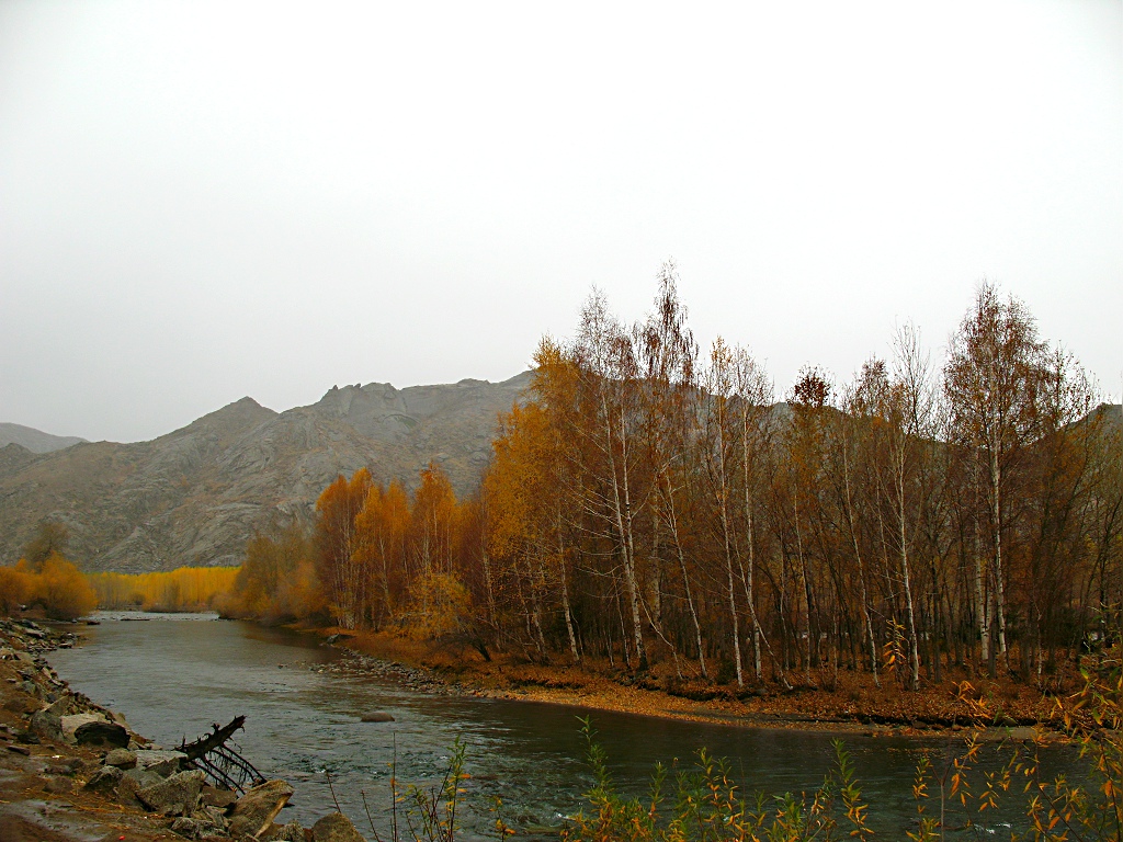 IMG_0451.JPG