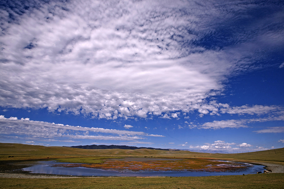 _MG_9663_1.JPG
