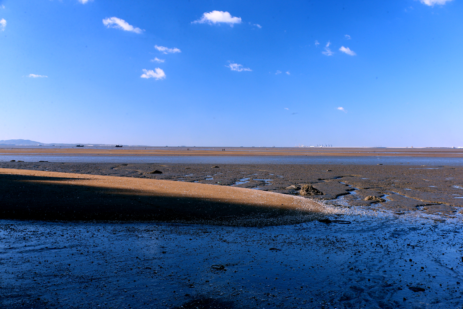 H46R3952.jpg