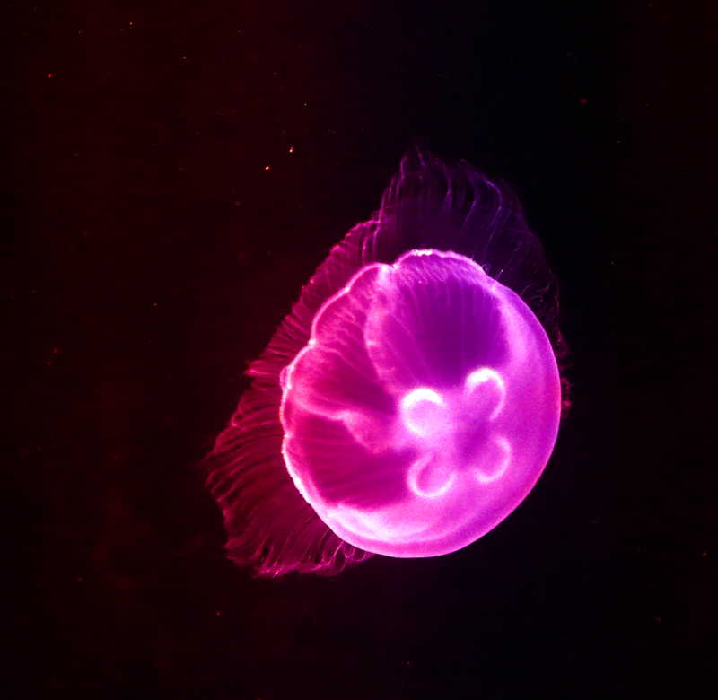 H46R5615.jpg