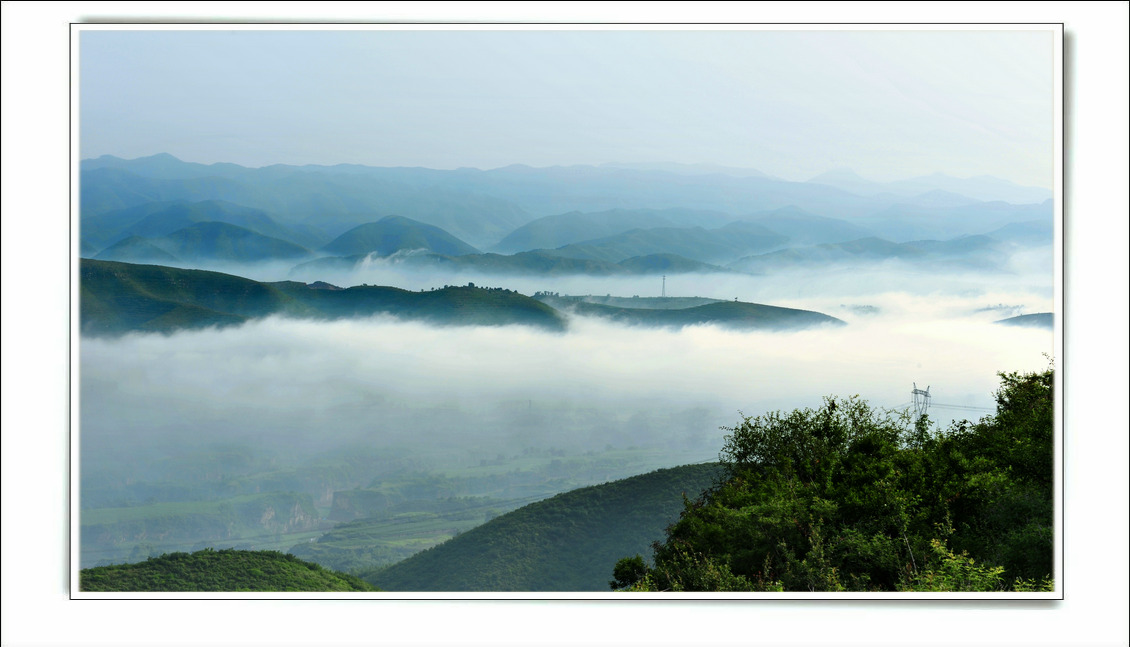 DSC_7806-2.jpg