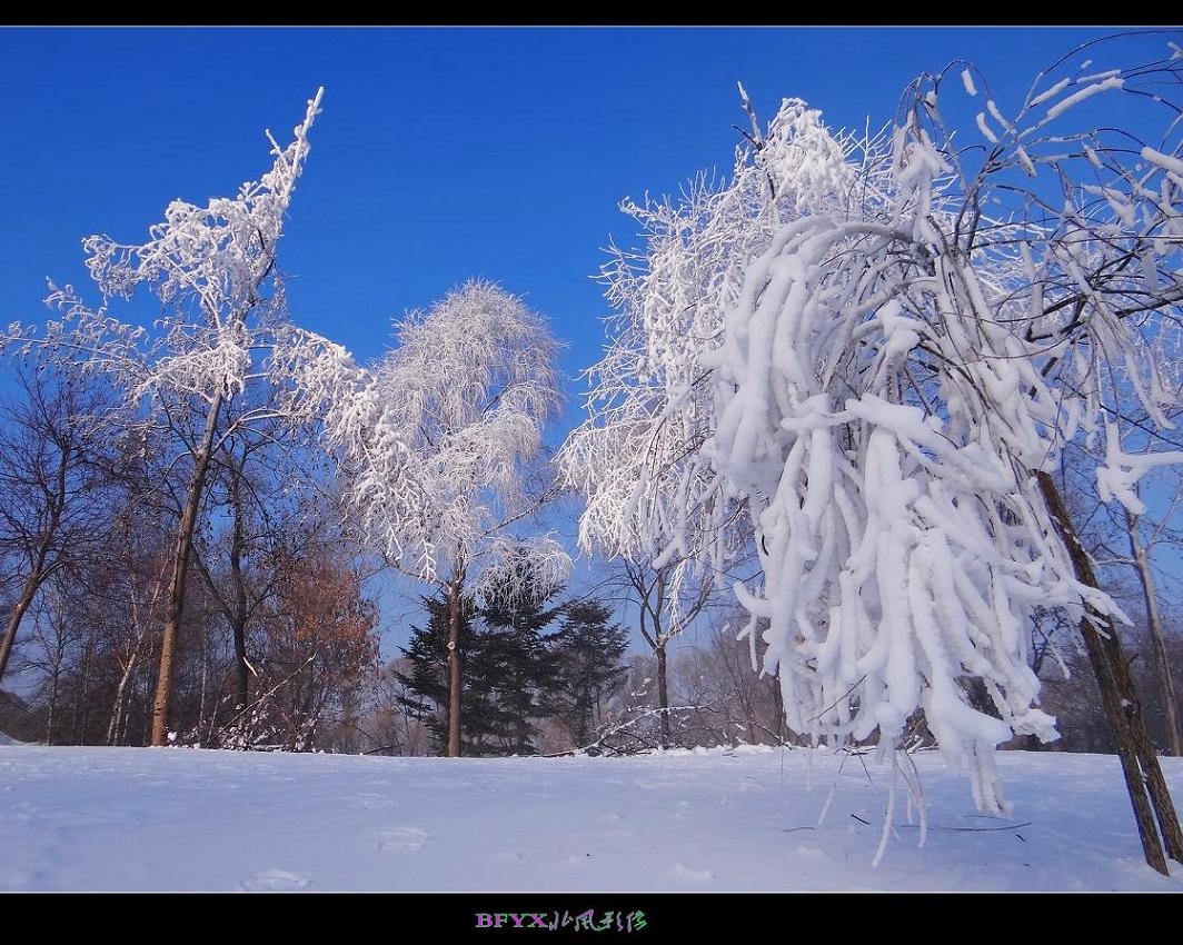 DSC03398_conew2.jpg