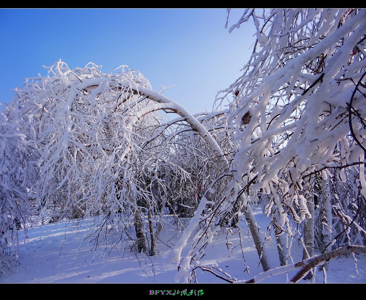 DSC03282_conew1.jpg