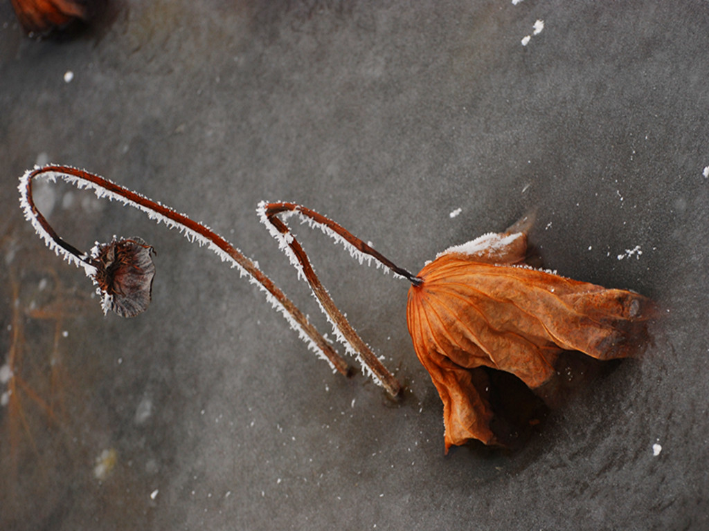 dsc_0122_.jpg