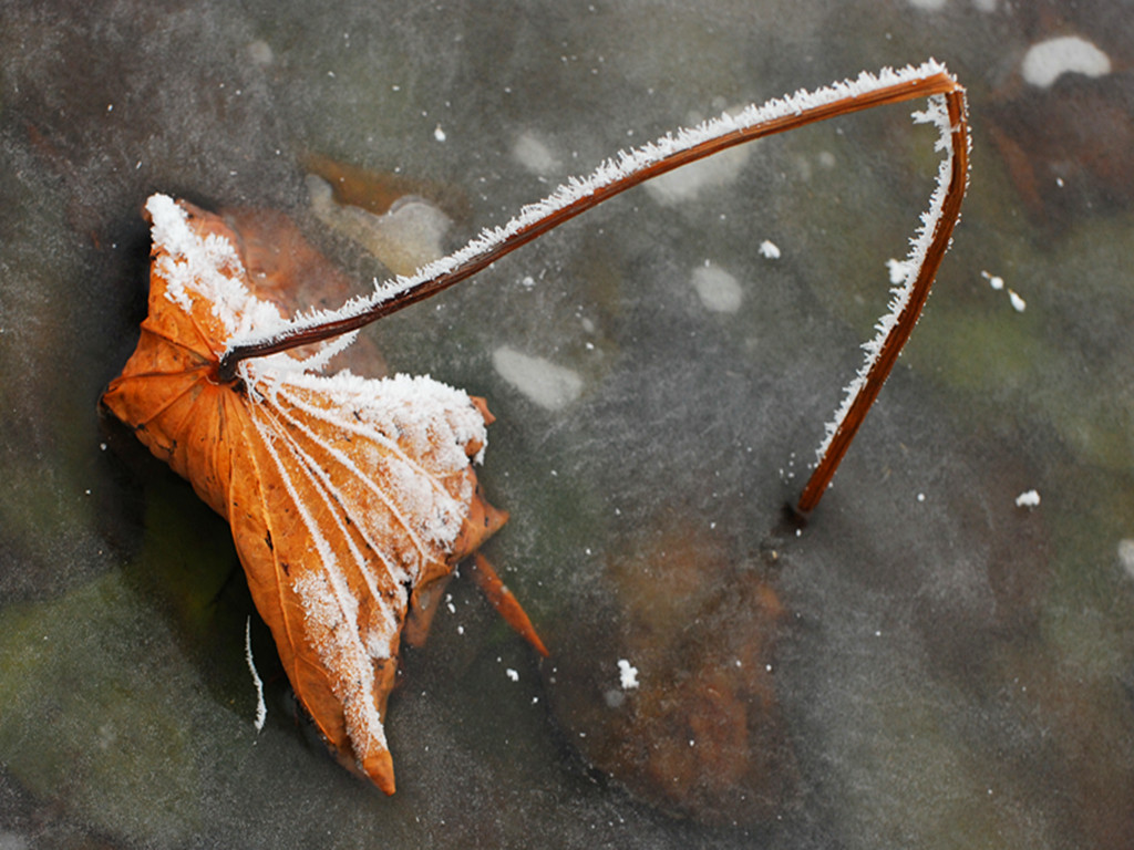 dsc_0069_.jpg