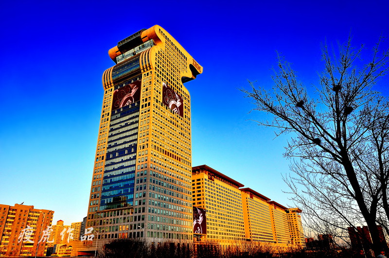 DSC_8485-xc1.jpg