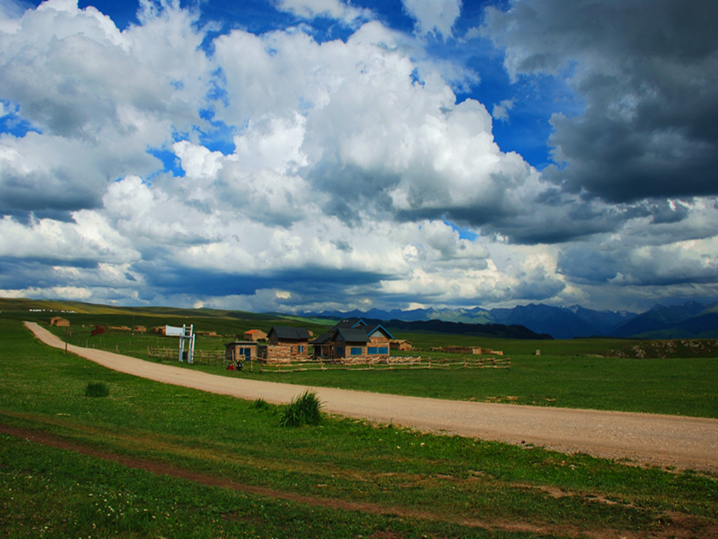 dsc_0779_.jpg