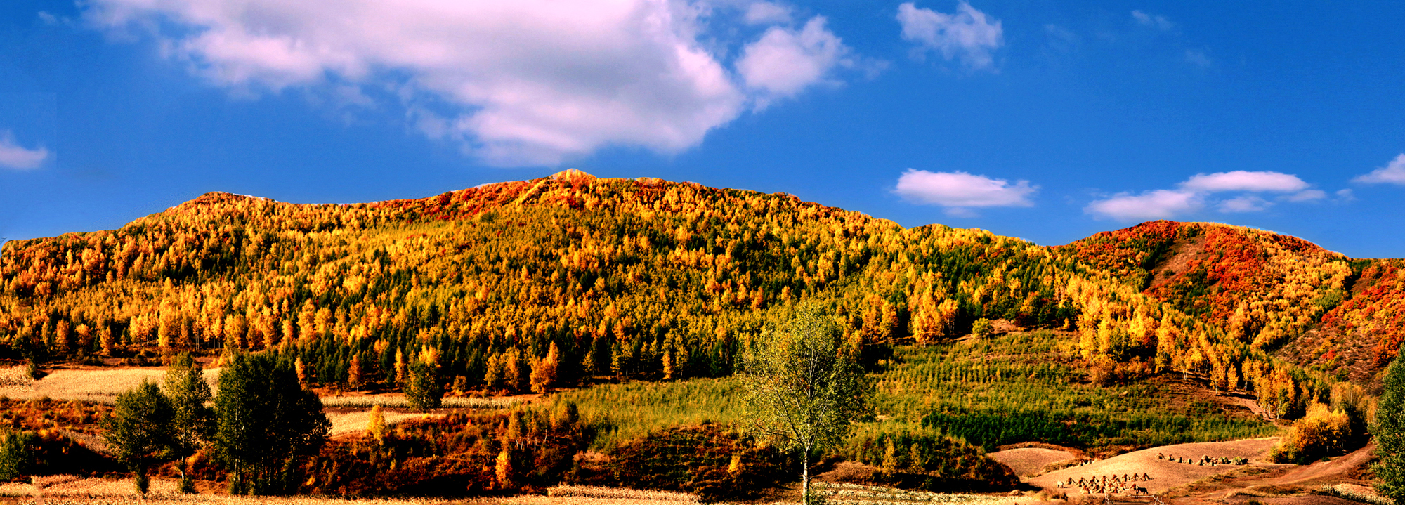 jkl;67.jpg