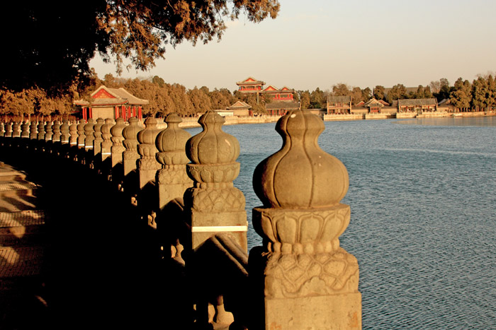 aIMG_9430v.jpg