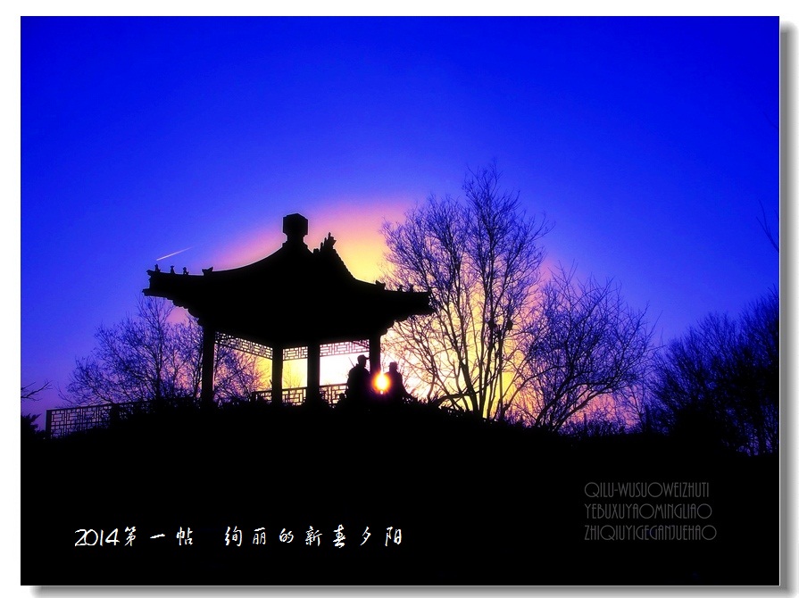 DSC03556_bb.jpg
