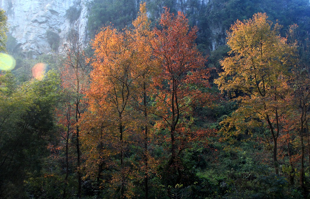 IMG_3653.JPG