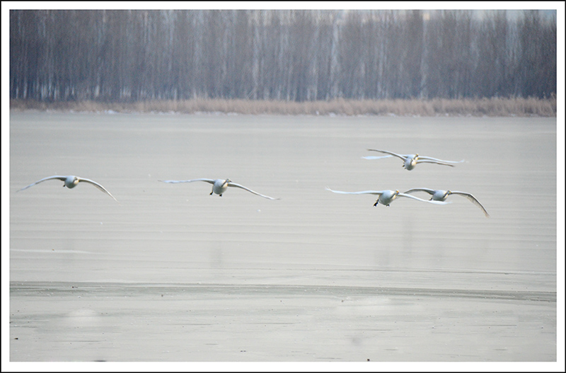 20131228ƽ½Ƭ 0961.jpg