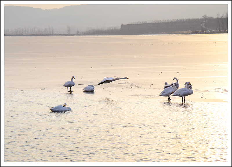 20131228ƽ½Ƭ 18.jpg